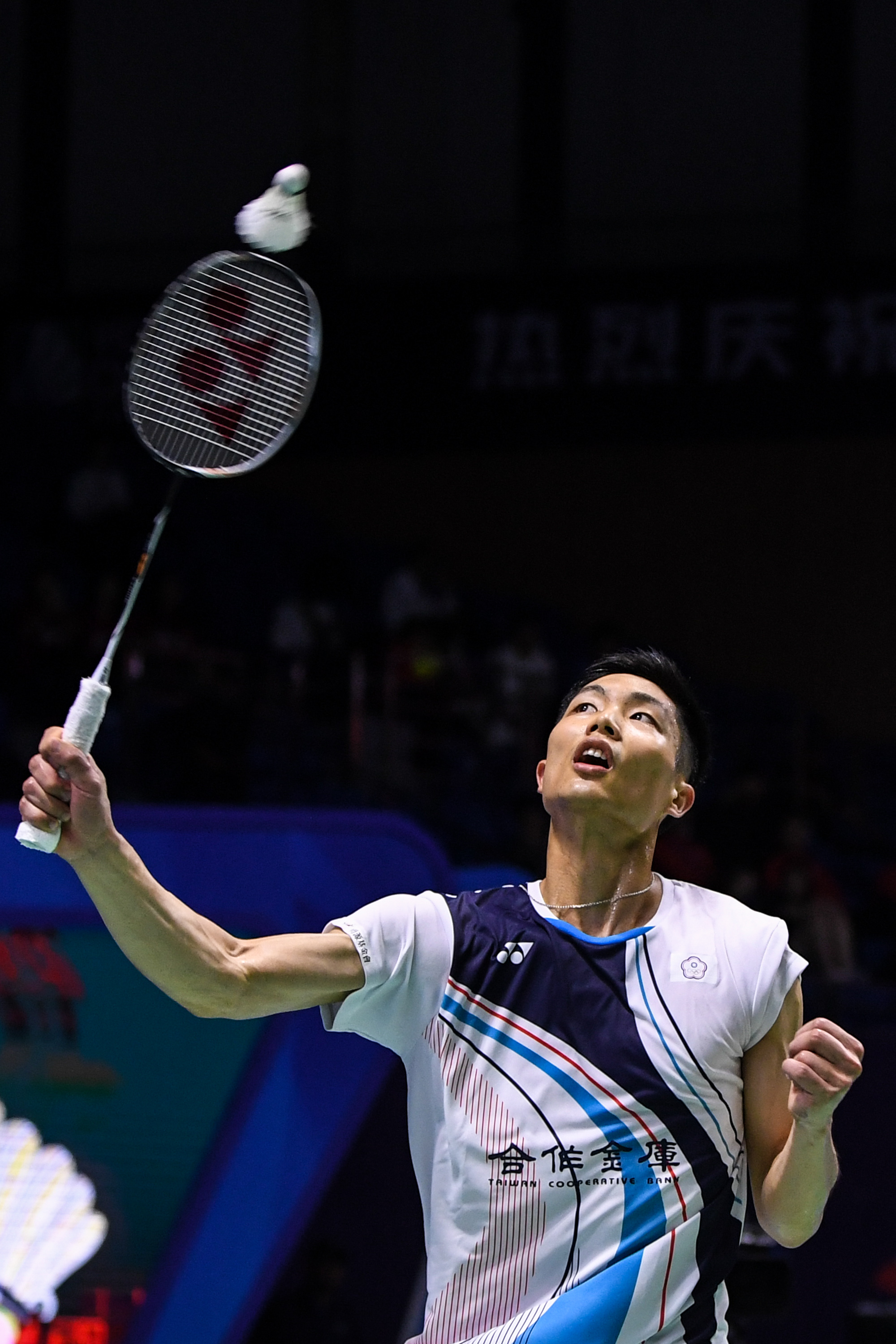 稳步迈入八 稳步迈入八