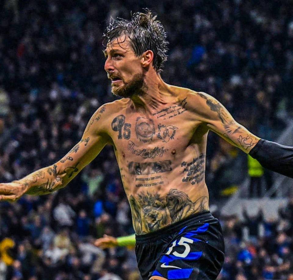 仅展示了中 仅展示了中