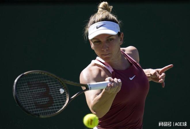 的优秀运动 的优秀运动